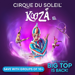 CIRQUE DU SOLEIL